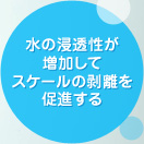 水の浸透性が増加してスケールの剥離を促進する